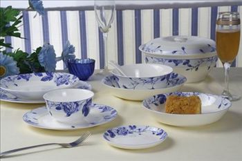 Bone China dinner set